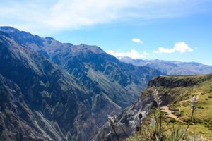 Le canyon Colca au Pérou