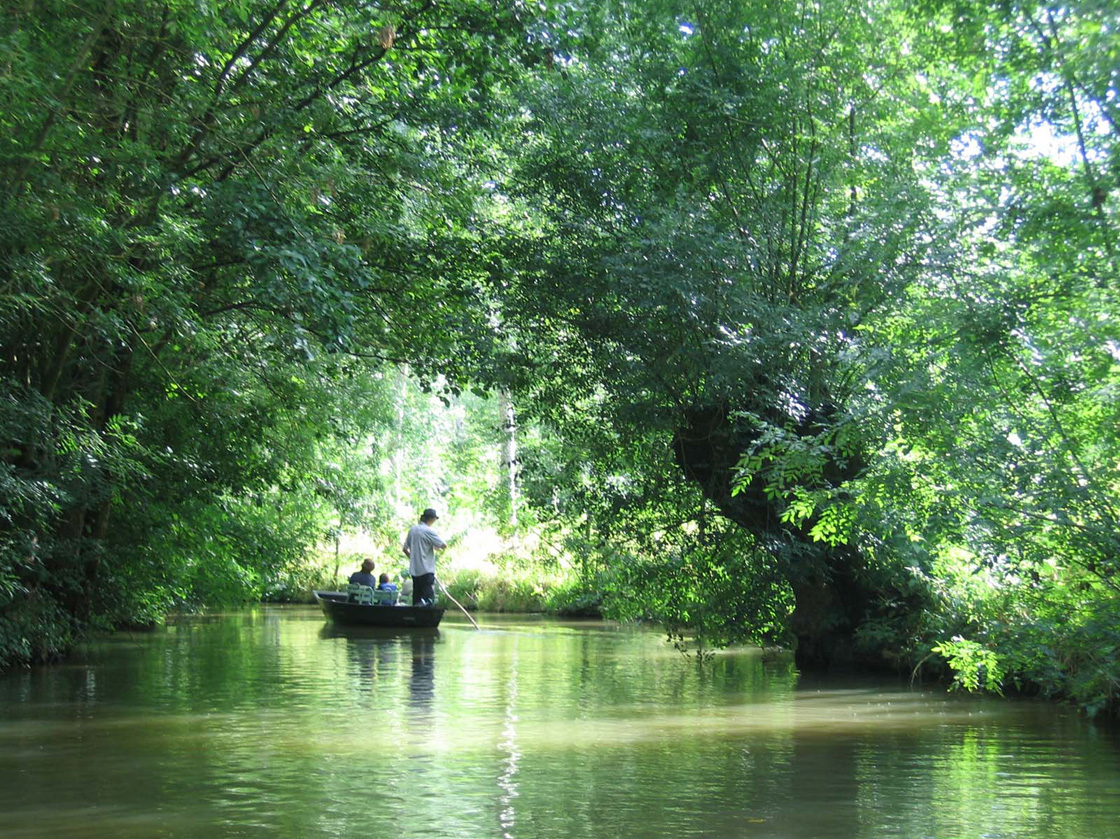 les-marais-Poitevin