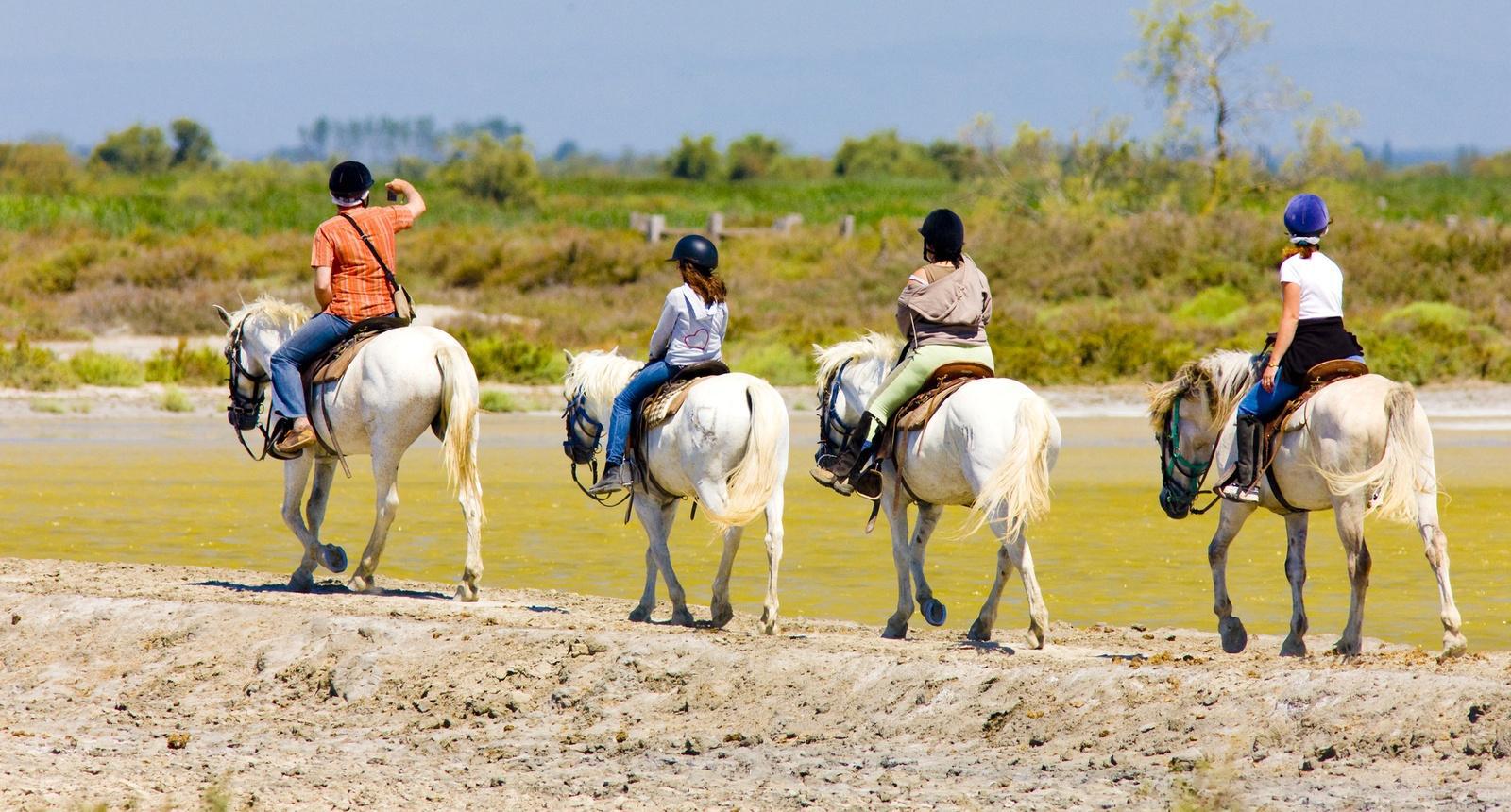 Séjour équestre en Camargue