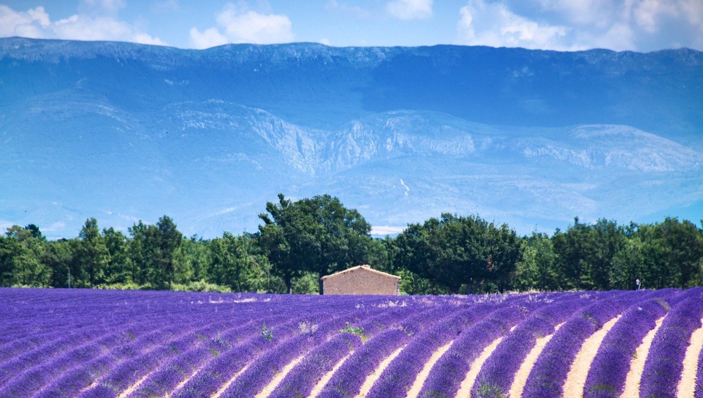 Les 5 meilleures destinations du Sud de la France