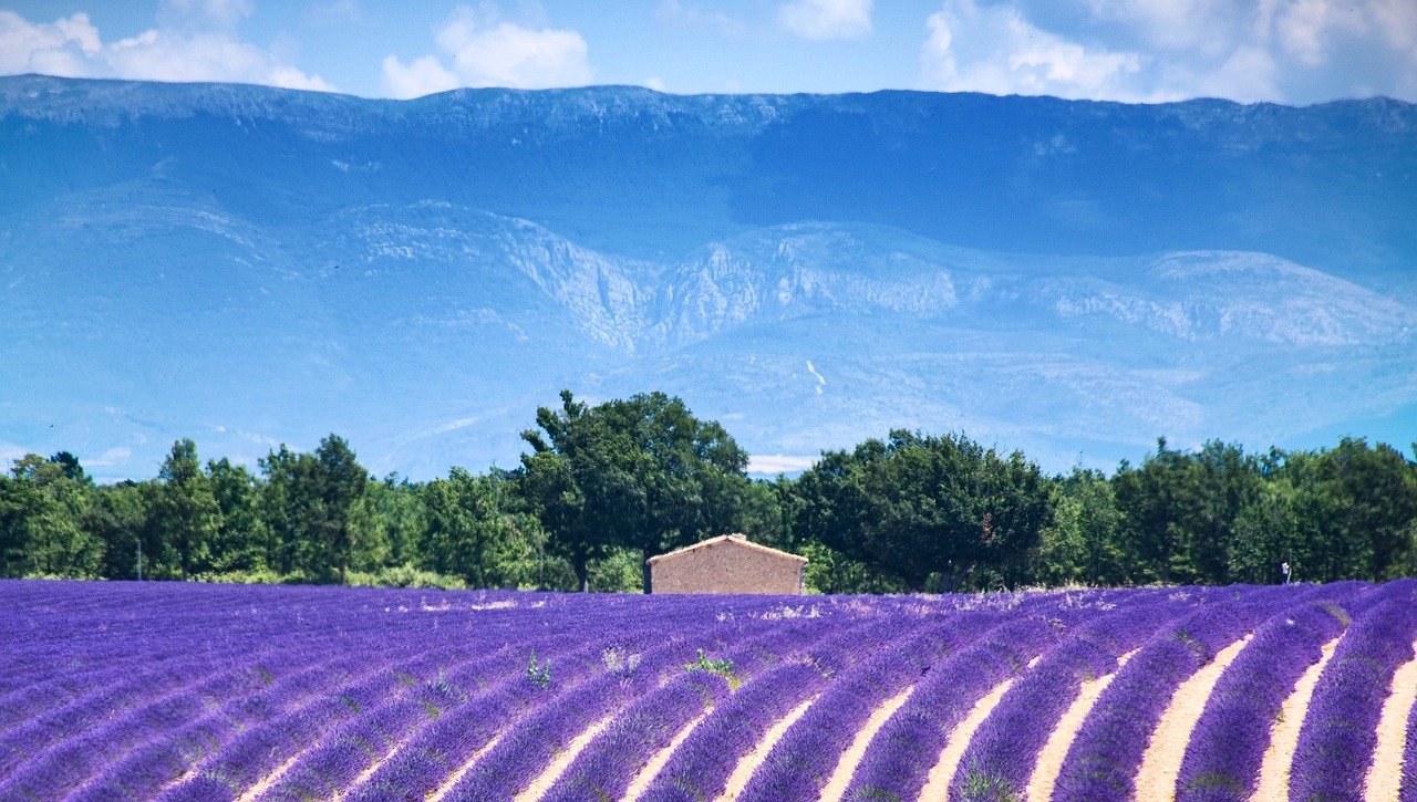 Vacances dans le Sud de la France